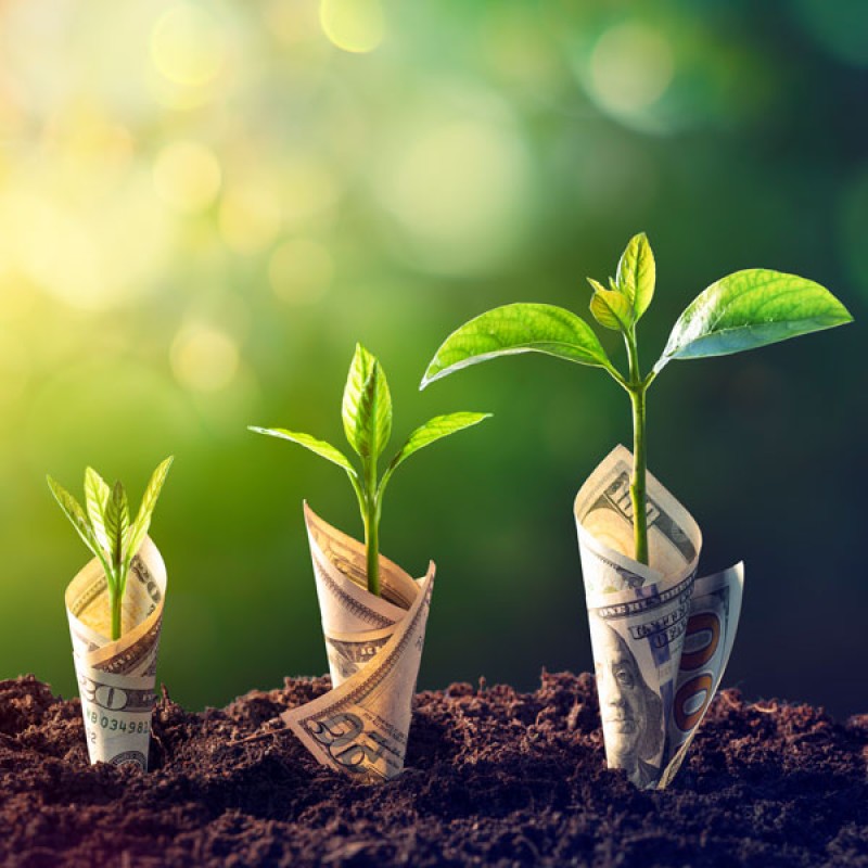 grow money