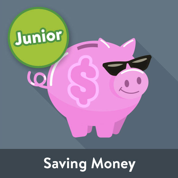 iamt icon jr3 saving money